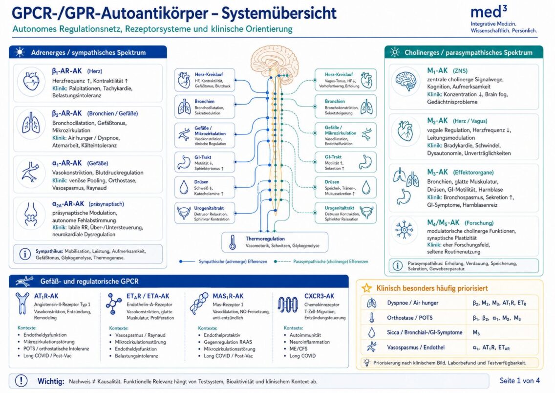 SYMPTOMÜBERSICHT GPCR-AUTOANTIKÖRPER
